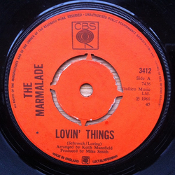 The Marmalade Lovin' Things Vinyl 7" USED