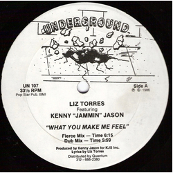Liz Torres / Kenny "Jammin" Jason What You Make Me Feel Vinyl 12" USED