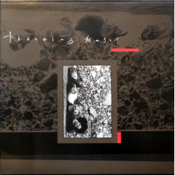 Throwing Muses Chains Changed Vinyl 12" USED