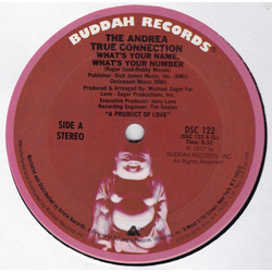 Andrea True Connection What's Your Name, What's Your Number / Fill Me Up (Heart To Heart) Vinyl 12" USED