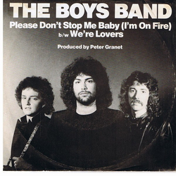 The Boys Band Please Don't Stop Me Baby (I'm On Fire) / We're Lovers Vinyl 7" USED