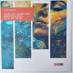 Nookie When You Gonna See? Vinyl 12" USED