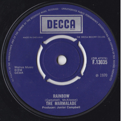 The Marmalade Rainbow Vinyl 7" USED