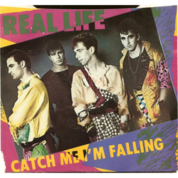 Real Life Catch Me I'm Falling Vinyl 7" USED