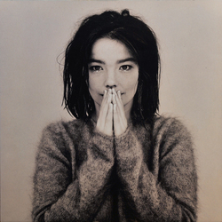 Bjork Debut Vinyl LP USED