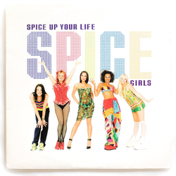 Spice Girls Spice Up Your Life Vinyl 12" USED
