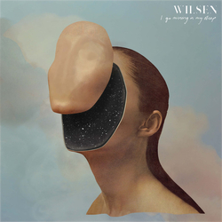 Wilsen I Go Missing In My Sleep Vinyl LP USED