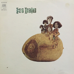 Seatrain Sea Train Vinyl LP USED