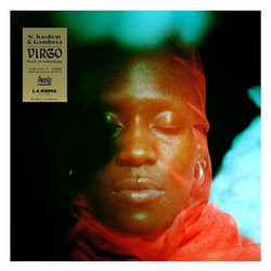 N. Hardem / Gambeta Virgo Vinyl 7" USED