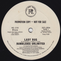 Bumblebee Unlimited Lady Bug Vinyl 12" USED