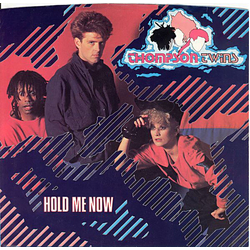 Thompson Twins Hold Me Now Vinyl 7" USED