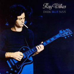Ray Wilkes (2) Dark Blue Man Vinyl LP USED