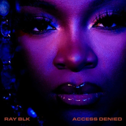 Ray BLK Access Denied Vinyl LP USED