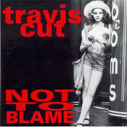 Travis Cut Not To Blame Vinyl 7" USED