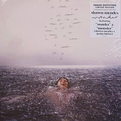 Shawn Mendes Wonder Vinyl LP USED