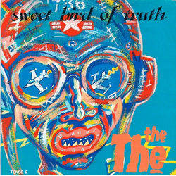 The The Sweet Bird Of Truth Vinyl 7" USED