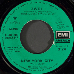 Walter Zwol New York City Vinyl 7" USED