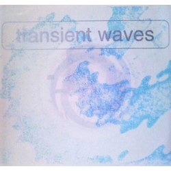 Transient Waves Heroin Jam Vinyl 7" USED
