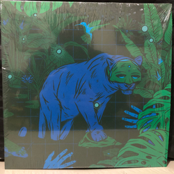 Kind & Kinky Zoo Swamp! Vinyl LP USED