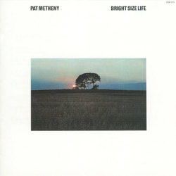 Pat Metheny Bright Size Life Vinyl LP USED