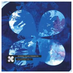 Submorphics Fluxpoint, Vol. 1 Vinyl 12" USED