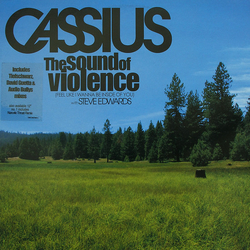 Cassius / Steve Edwards The Sound Of Violence (Feel Like I Wanna Be Inside Of You) Vinyl 12" USED