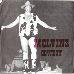 Melvins / Plainfield Cowboy / Hillbilly Vinyl 7" USED