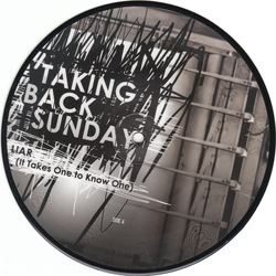 Taking Back Sunday Liar (It Takes One To Know One) Vinyl 7" USED