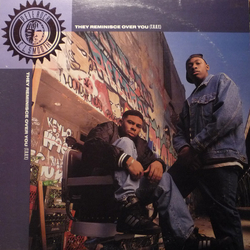 Pete Rock & C.L. Smooth They Reminisce Over You (T.R.O.Y.) Vinyl 12" USED