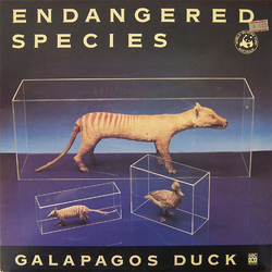 Galapagos Duck Endangered Species Vinyl LP USED