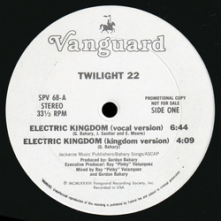 Twilight 22 Electric Kingdom Vinyl 12" USED