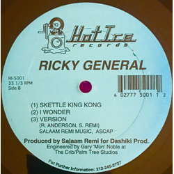 Ricky General Skettle Combo Vinyl 12" USED