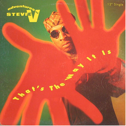 Adventures Of Stevie V. That's The Way It Is Vinyl 12" USED