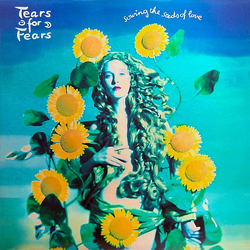 Tears For Fears Sowing The Seeds Of Love Vinyl 12" USED