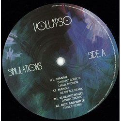 David Gtronic / Chad Andrew Simulations Vinyl 12" USED
