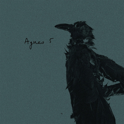 Jerome.c Agnes 5 Vinyl 12" USED