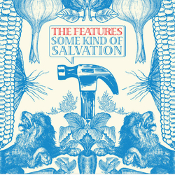 The Features Some Kind Of Salvation Vinyl LP USED