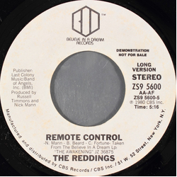 The Reddings Remote Control Vinyl 7" USED