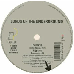 Lords Of The Underground Check It Vinyl 12" USED