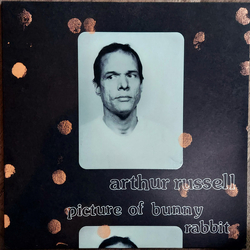 Arthur Russell Picture Of Bunny Rabbit Vinyl LP USED