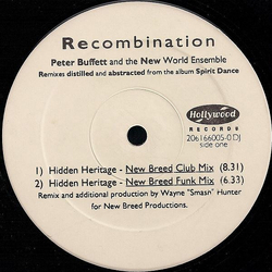 Peter Buffett / The New World Ensemble Recombination Vinyl 12" USED