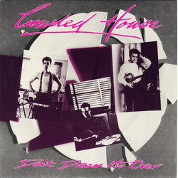 Crowded House Don't Dream It's Over Vinyl 7" USED