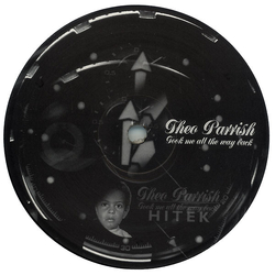 Theo Parrish Took Me All The Way Back Vinyl 12" USED