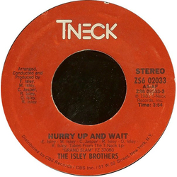 The Isley Brothers Hurry Up And Wait Vinyl 7" USED