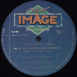 Lori Mitchell We've Got A Good Thing (Going On) Vinyl 12" USED