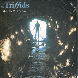 The Triffids Bury Me Deep In Love Vinyl 7" USED