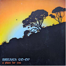 Breaks Co-Op A Place For You Vinyl 7" USED