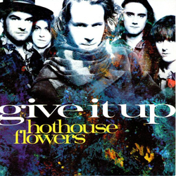 Hothouse Flowers Give It Up Vinyl 7" USED