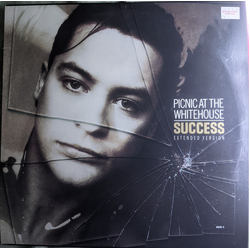 Picnic At The Whitehouse Success Vinyl 12" USED