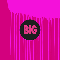 The Big Pink Stay Gold Vinyl 12" USED